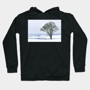 Ash Tree in the Snow Hoodie